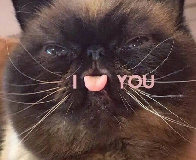 daily picdump 102 pics 2.html - 102 HD Photos | Premium Gallery 2018