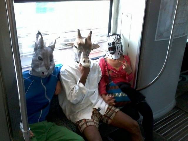 daily picdump 102 pics 2.html - 102 HD Photos | Premium Gallery 2018