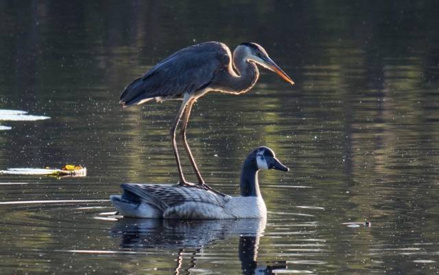 daily picdump 102 pics 2.html - 102 HD Photos | Premium Gallery 2018