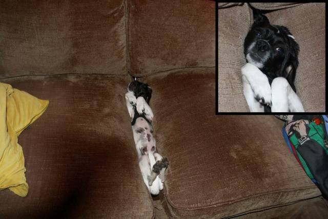 daily picdump 102 pics 2.html - 102 HD Photos | Premium Gallery 2018