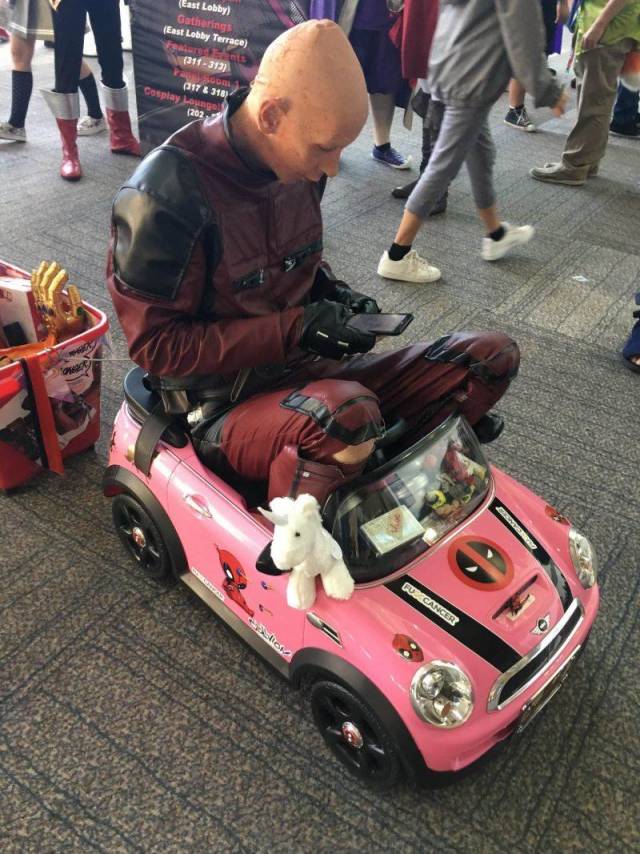 daily picdump 102 pics 2.html - 102 HD Photos | Premium Gallery 2018