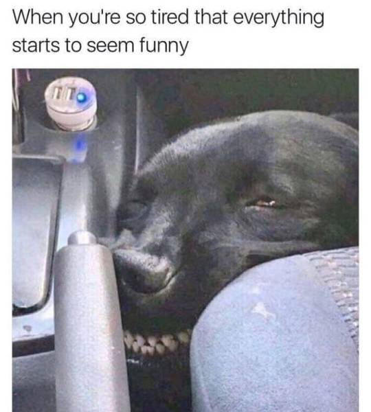 funny picdump 52 pics 9.html - 52 HD Photos | Premium Gallery 2018