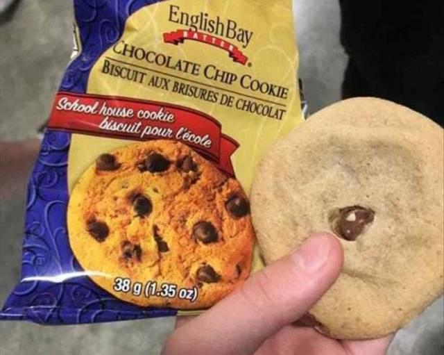 funny picdump 52 pics 9.html - 52 HD Photos | Premium Gallery 2018