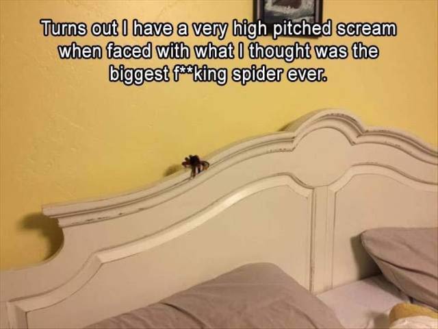 funny picdump 52 pics 9.html - 52 HD Photos | Premium Gallery 2018