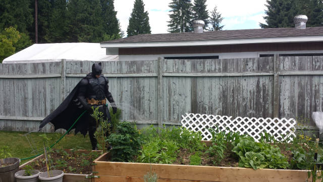 morning picdump 53 pics 21.html - 53 HD Photos | Premium Gallery 2018