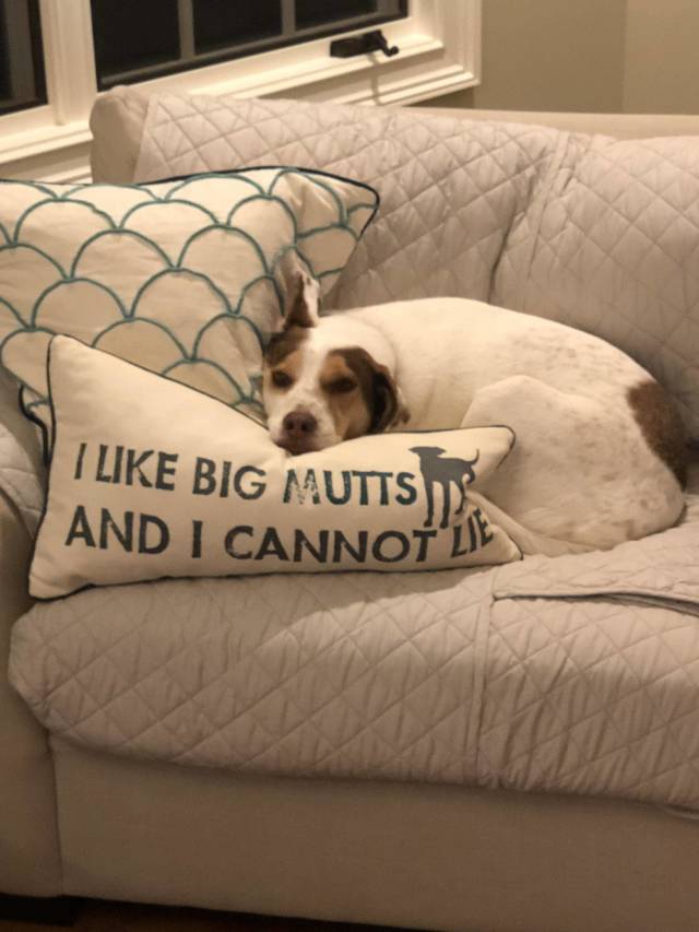 morning picdump 53 pics 21.html - 53 HD Photos | Premium Gallery 2018