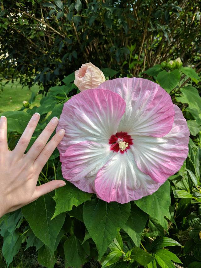 morning picdump 53 pics 21.html - 53 HD Photos | Premium Gallery 2018