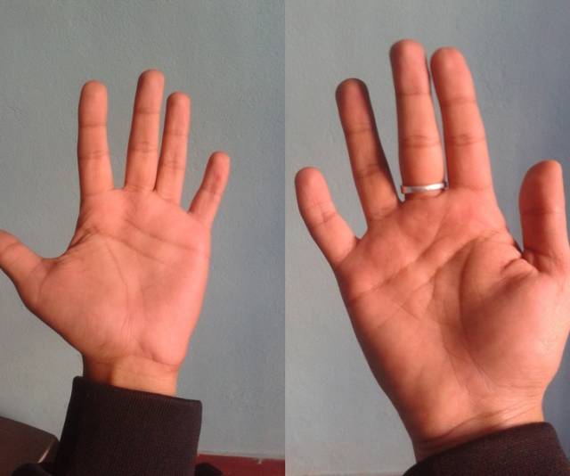 Their Bodies Are Too Weird To Be Real