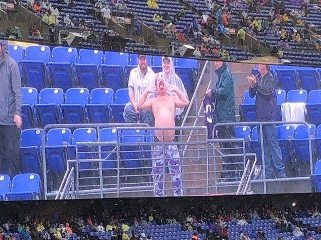 daily picdump 95 pics 9.html - 95 HD Photos | Premium Gallery 2018