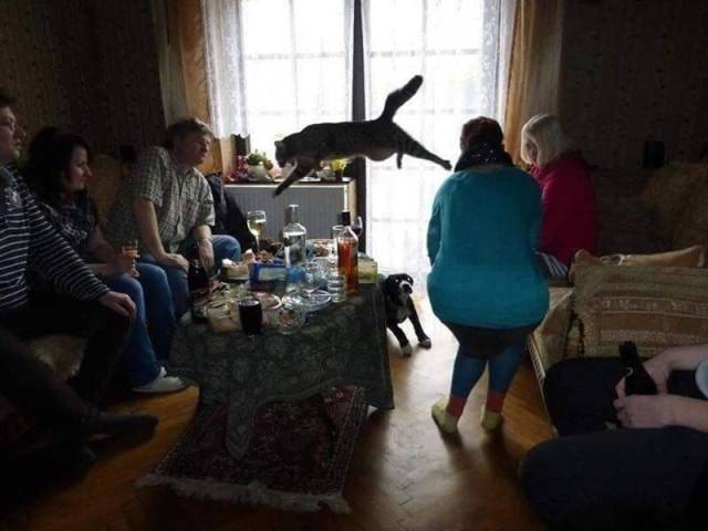 daily picdump 95 pics 9.html - 95 HD Photos | Premium Gallery 2018