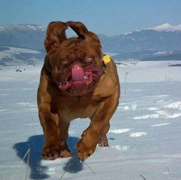 daily picdump 95 pics 9.html - 95 HD Photos | Premium Gallery 2018