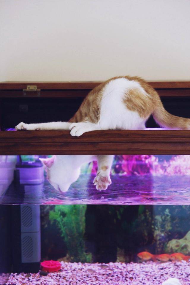 daily picdump 95 pics 9.html - 95 HD Photos | Premium Gallery 2018