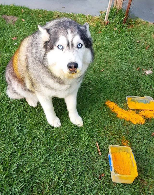 daily picdump 95 pics 9.html - 95 HD Photos | Premium Gallery 2018