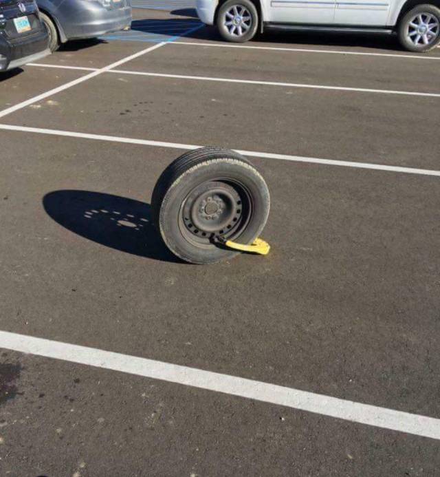 daily picdump 95 pics 9.html - 95 HD Photos | Premium Gallery 2018