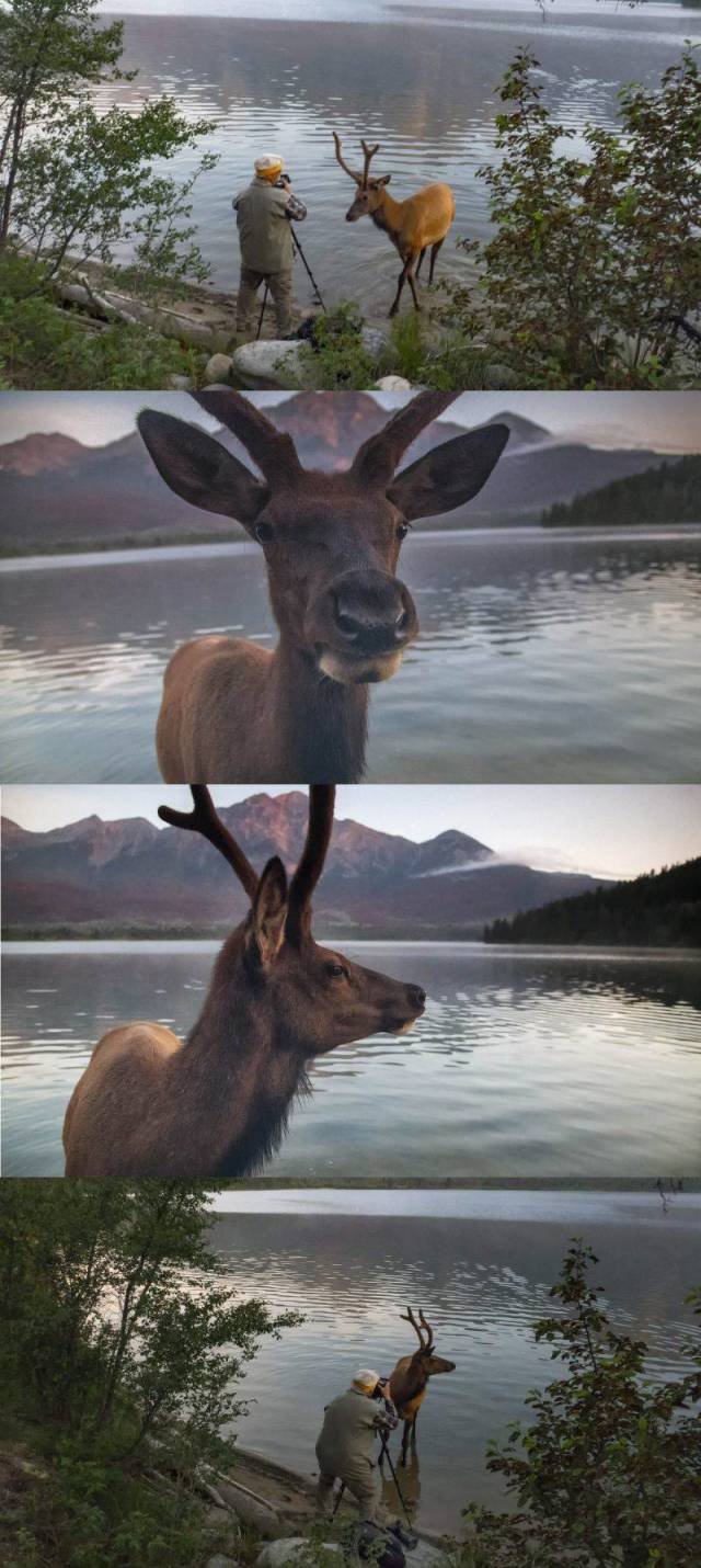 daily picdump 95 pics 9.html - 95 HD Photos | Premium Gallery 2018