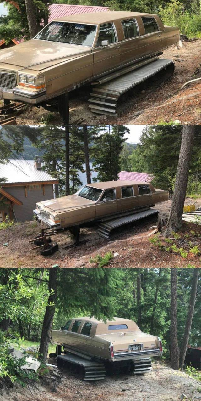 daily picdump 95 pics 9.html - 95 HD Photos | Premium Gallery 2018