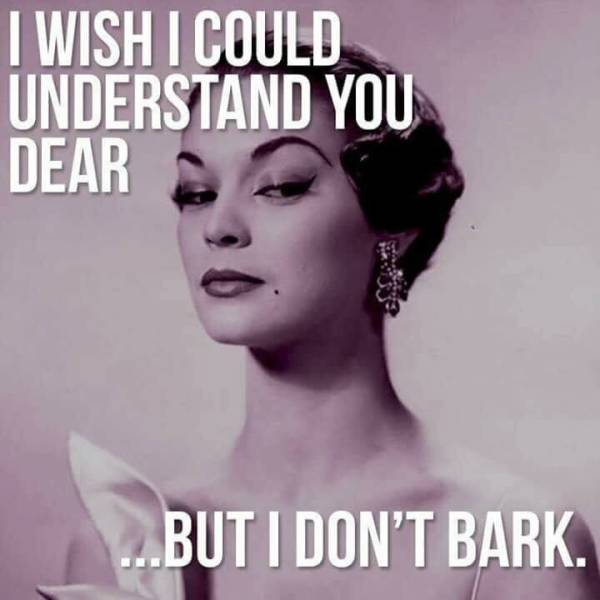 funny picdump 52 pics 14.html - 52 HD Photos | Premium Gallery 2018