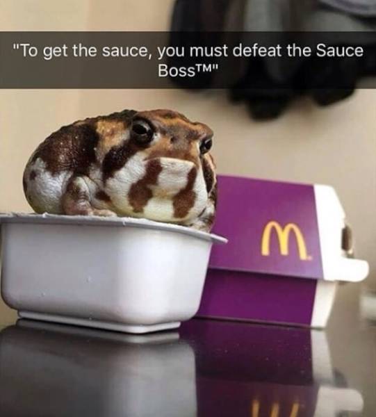 funny picdump 52 pics 14.html - 52 HD Photos | Premium Gallery 2018