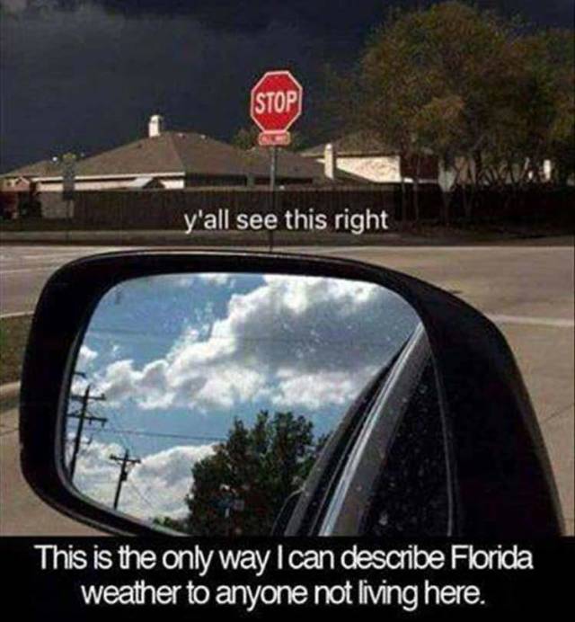 funny picdump 52 pics 14.html - 52 HD Photos | Premium Gallery 2018