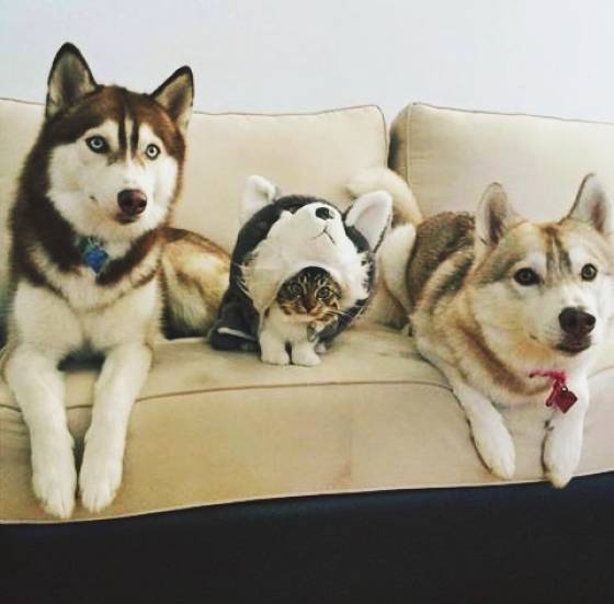 morning picdump 52 pics 7.html - 52 HD Photos | Premium Gallery 2018