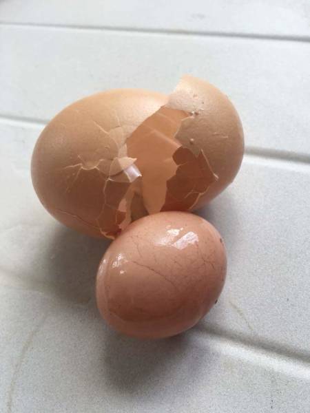 morning picdump 52 pics 7.html - 52 HD Photos | Premium Gallery 2018