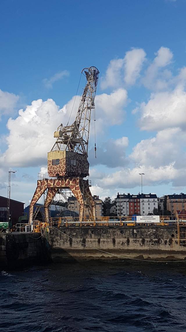 morning picdump 52 pics 7.html - 52 HD Photos | Premium Gallery 2018