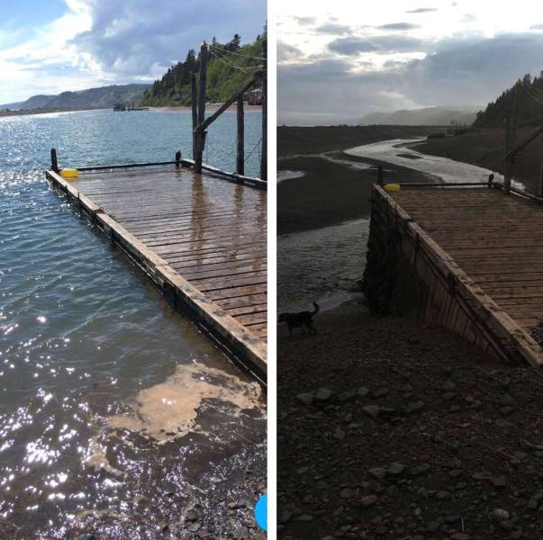 daily picdump 96 pics 45.html - 96 HD Photos | Premium Gallery 2018