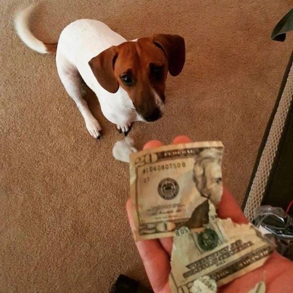 daily picdump 96 pics 45.html - 96 HD Photos | Premium Gallery 2018