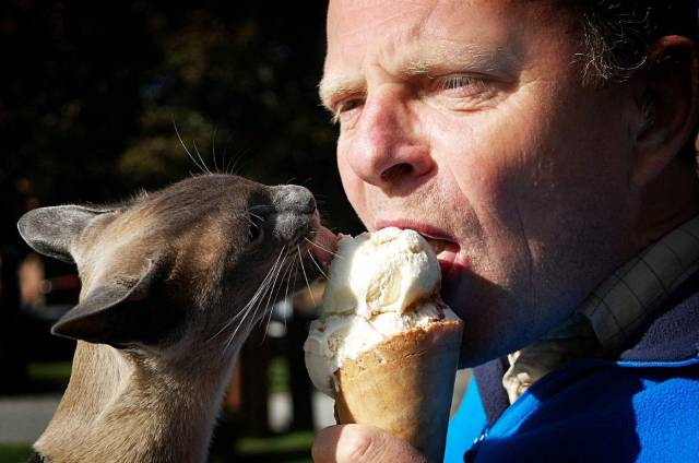 daily picdump 96 pics 45.html - 96 HD Photos | Premium Gallery 2018