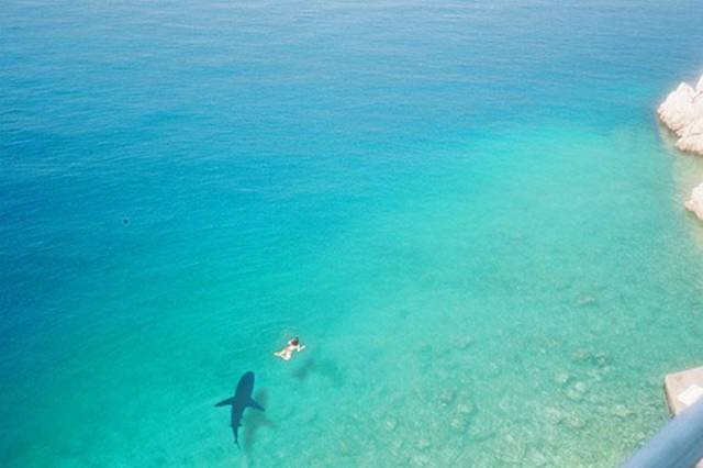 daily picdump 96 pics 45.html - 96 HD Photos | Premium Gallery 2018