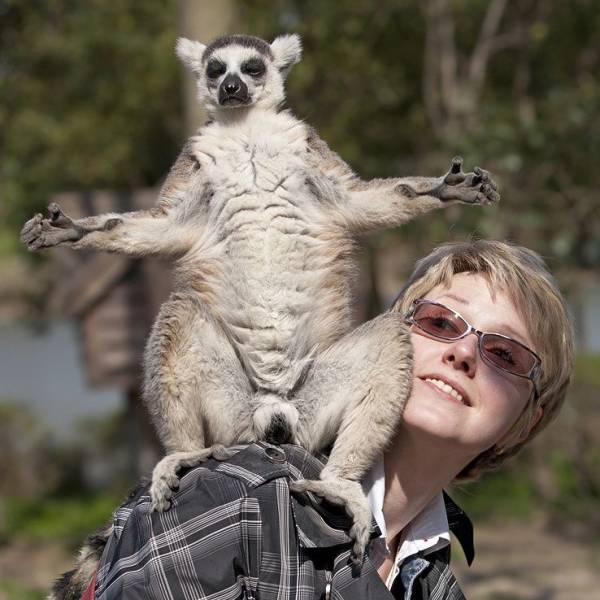 daily picdump 96 pics 45.html - 96 HD Photos | Premium Gallery 2018