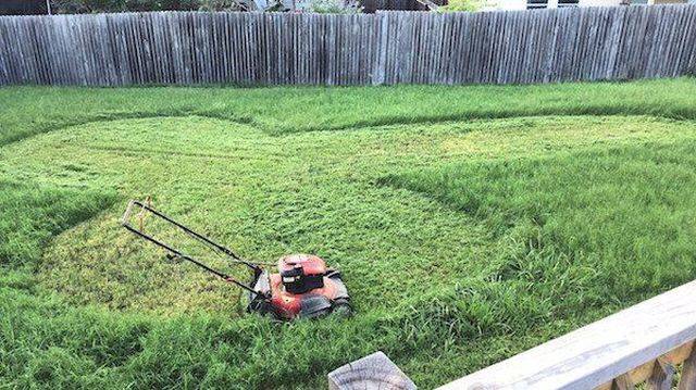 daily picdump 96 pics 45.html - 96 HD Photos | Premium Gallery 2018