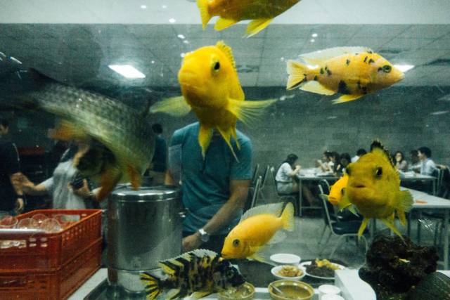 daily picdump 96 pics 45.html - 96 HD Photos | Premium Gallery 2018