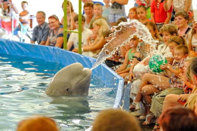 daily picdump 96 pics 45.html - 96 HD Photos | Premium Gallery 2018