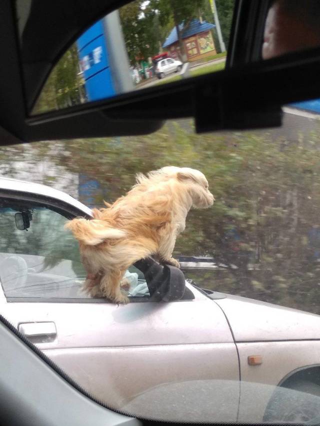 daily picdump 96 pics 45.html - 96 HD Photos | Premium Gallery 2018