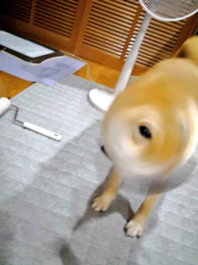 daily picdump 96 pics 45.html - 96 HD Photos | Premium Gallery 2018