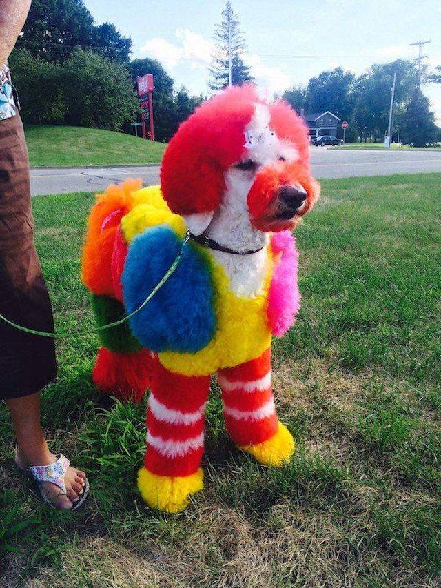 daily picdump 96 pics 45.html - 96 HD Photos | Premium Gallery 2018