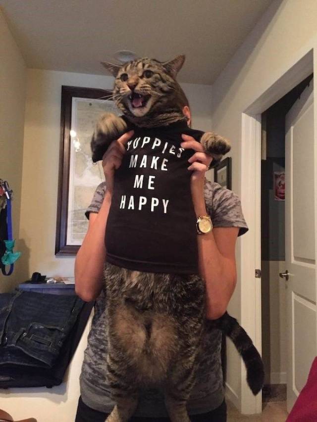 daily picdump 96 pics 45.html - 96 HD Photos | Premium Gallery 2018