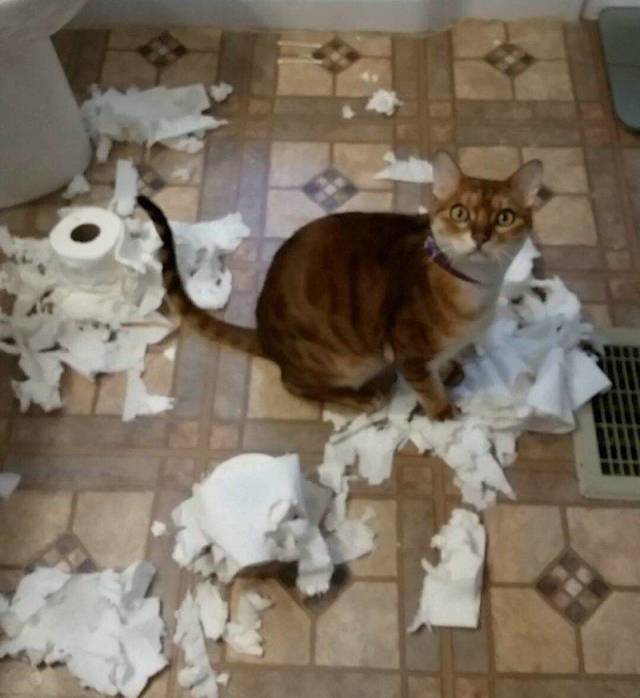 daily picdump 96 pics 45.html - 96 HD Photos | Premium Gallery 2018