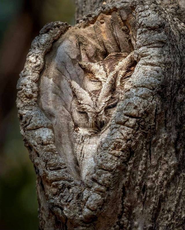 daily picdump 96 pics 45.html - 96 HD Photos | Premium Gallery 2018