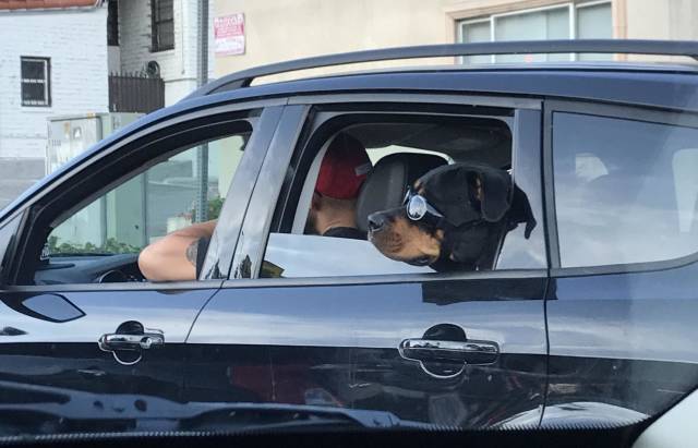 morning picdump 50 pics 2.html - 50 HD Photos | Premium Gallery 2018