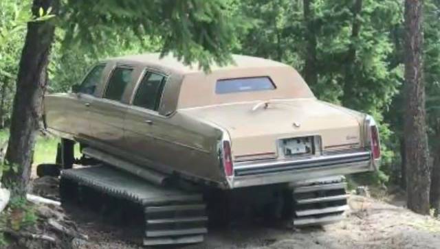 morning picdump 50 pics 2.html - 50 HD Photos | Premium Gallery 2018