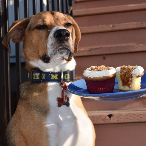 daily picdump weekend edition 61 pics 12.html - 61 HD Photos | Premium Gallery 2018