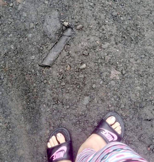 daily picdump weekend edition 61 pics 12.html - 61 HD Photos | Premium Gallery 2018