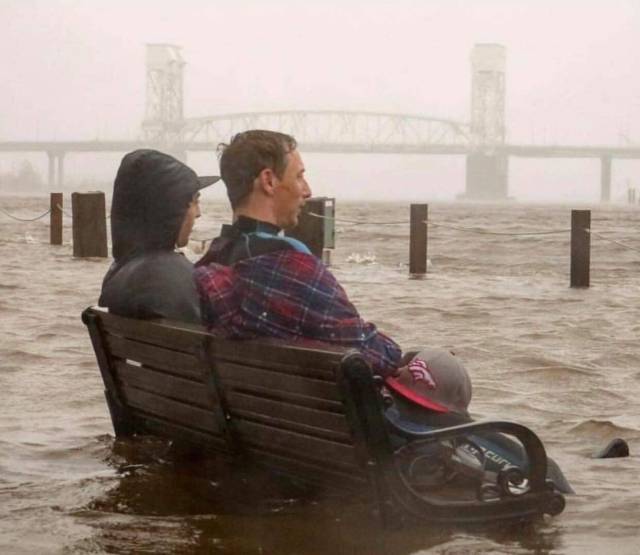 daily picdump 97 pics 6.html - 97 HD Photos | Premium Gallery 2018