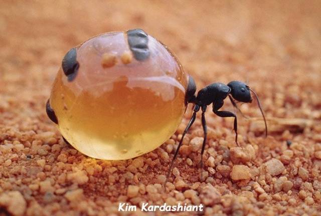 daily picdump 97 pics 6.html - 97 HD Photos | Premium Gallery 2018