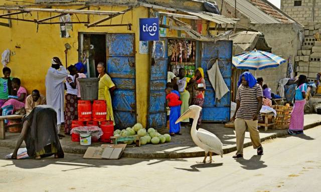 daily picdump 97 pics 6.html - 97 HD Photos | Premium Gallery 2018