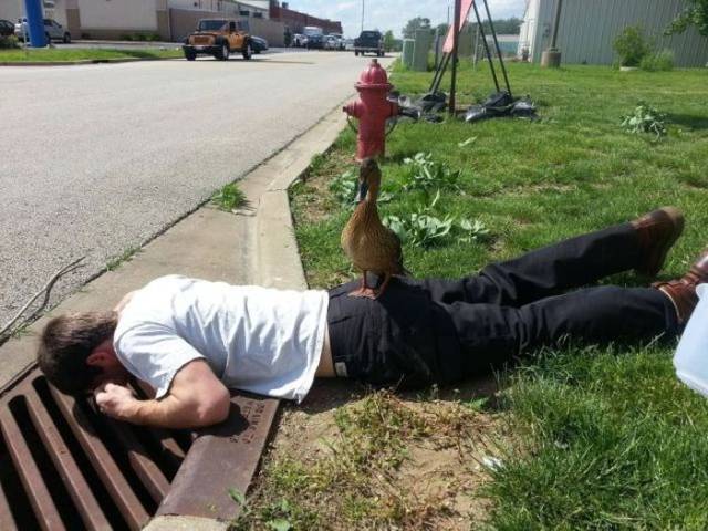 daily picdump 97 pics 6.html - 97 HD Photos | Premium Gallery 2018