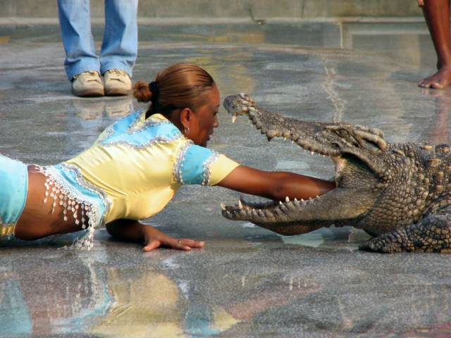 daily picdump 97 pics 6.html - 97 HD Photos | Premium Gallery 2018