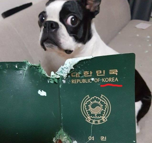 daily picdump 97 pics 6.html - 97 HD Photos | Premium Gallery 2018